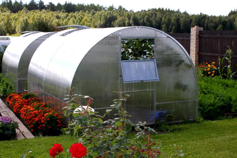 ZAHRADNÍ SKLENÍK AGRUS - 6,0 x 3,0 m - PC 6 mm