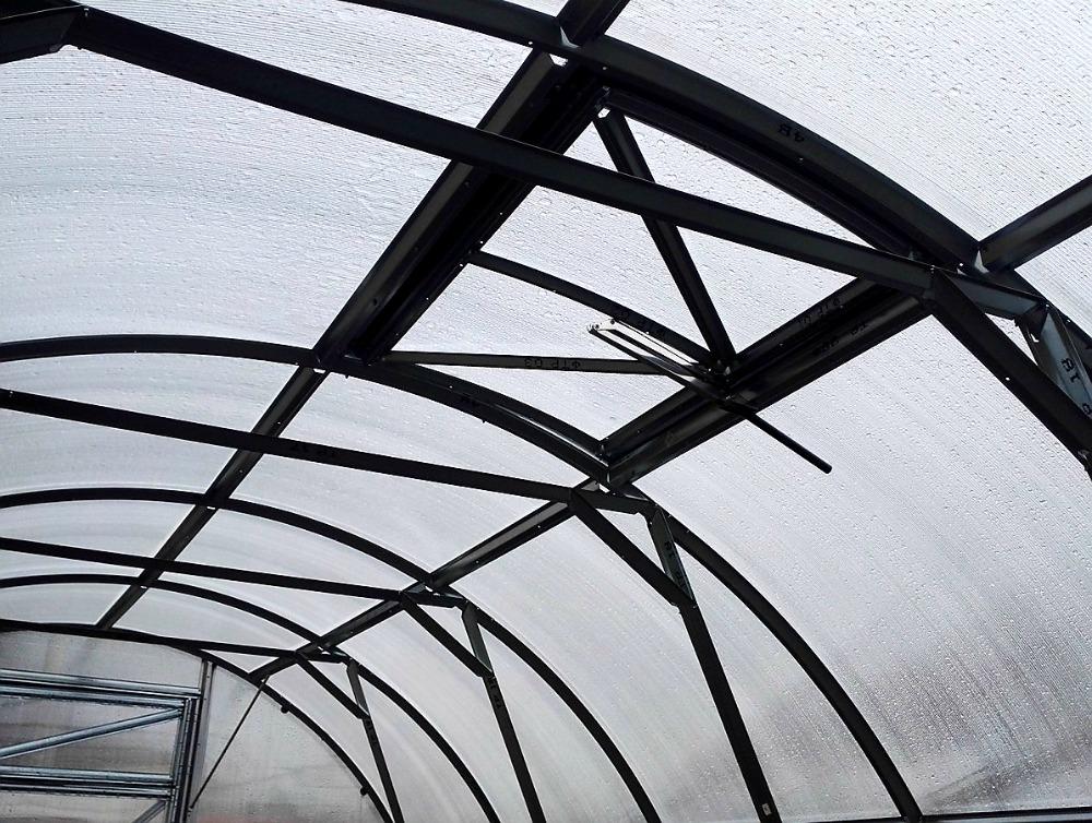 ZAHRADNÍ SKLENÍK TRJOSKA VOLYA LLC - 6,0 x 3,0 m - PC 4 mm