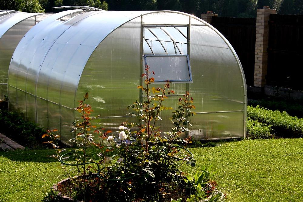 ZAHRADNÍ SKLENÍK AGRUS - 2,0 x 3,0 m - PC 6 mm