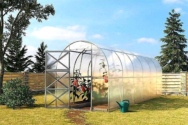 ZAHRADNÍ SKLENÍK DVUSHKA VOLYA LLC - 8,0 x 2,0 m - PC 4 mm