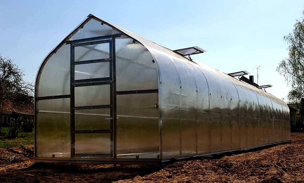 ZAHRADNÍ SKLENÍK COVERTEC STANDARD PROFI - 8,0 x 2,5 m - PC 6 mm