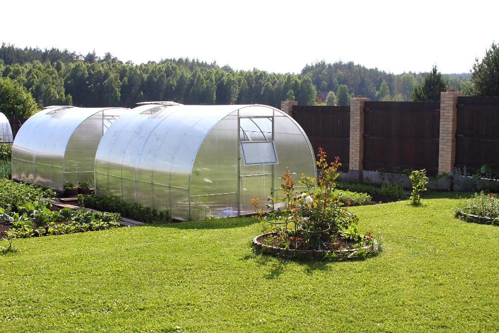 ZAHRADNÍ SKLENÍK AGRUS - 6,0 x 3,0 m - PC 6 mm