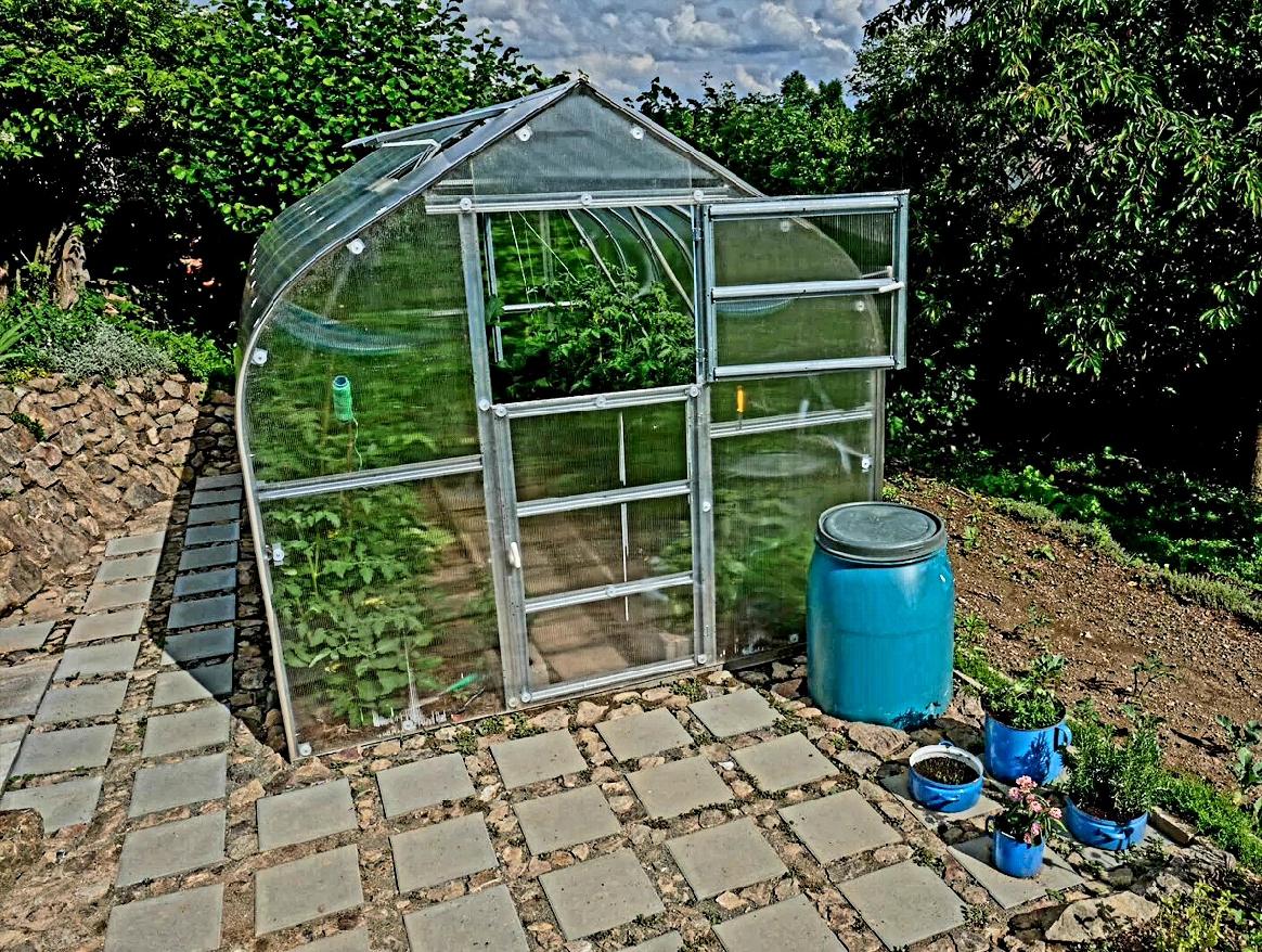 Zadní dveře pro skleník Gardentec Standard - 196 x 80 cm - PC 4 mm