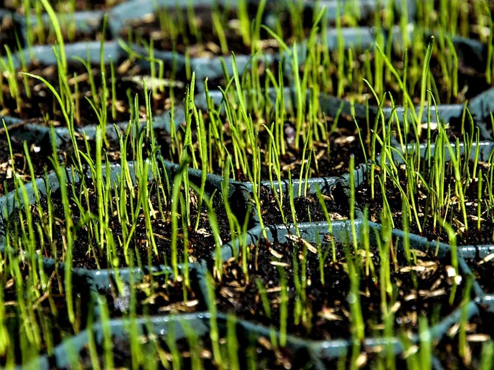 ZATRAVŇOVACÍ TVÁRNICE COVERGRID PUZZLE ČERNÁ - 50 x 50 x 6,2 cm