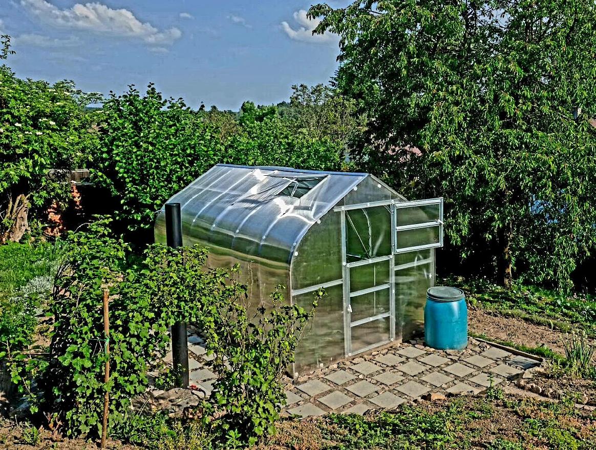 Zadní dveře pro skleník Gardentec Standard - 196 x 80 cm - PC 6 mm