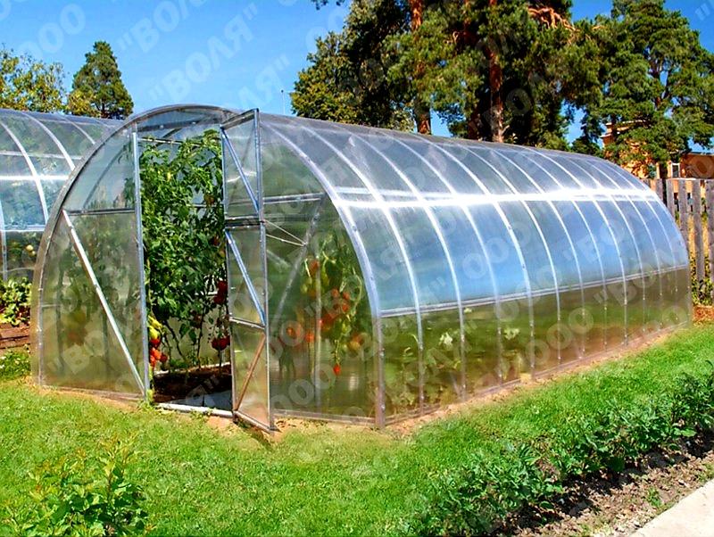 ZAHRADNÍ SKLENÍK 2 DUM VOLYA LLC - 10 x 3,0 m - PC 6 mm