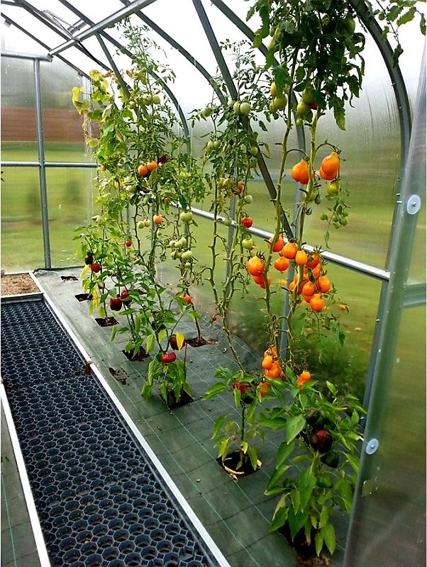 ZAHRADNÍ SKLENÍK COVERTEC STANDARD PROFI - 8,0 x 2,5 m - PC 6 mm