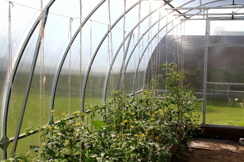 ZAHRADNÍ SKLENÍK AGRUS - 6,0 x 3,0 m - PC 6 mm