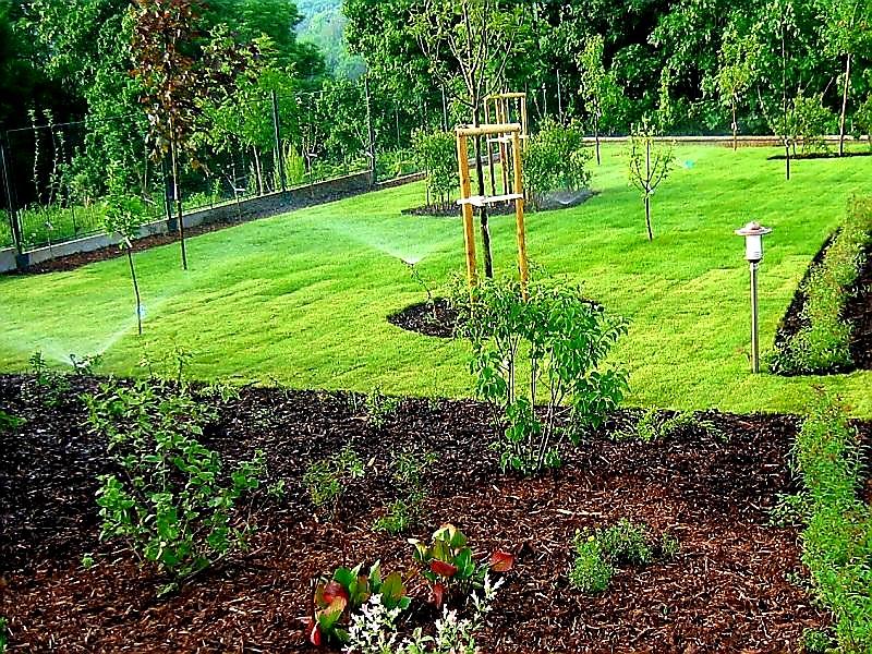 ZAHRADNÍ OBRUBNÍK COVERGARDEN ZELENÁ - 8,0 x 100 cm