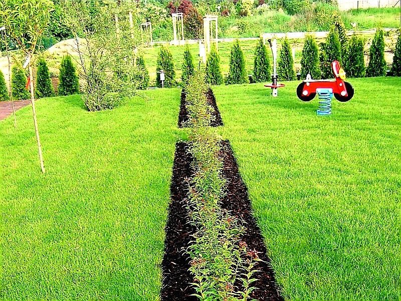 ZAHRADNÍ OBRUBNÍK COVERGARDEN ZELENÁ - 8,0 x 100 cm