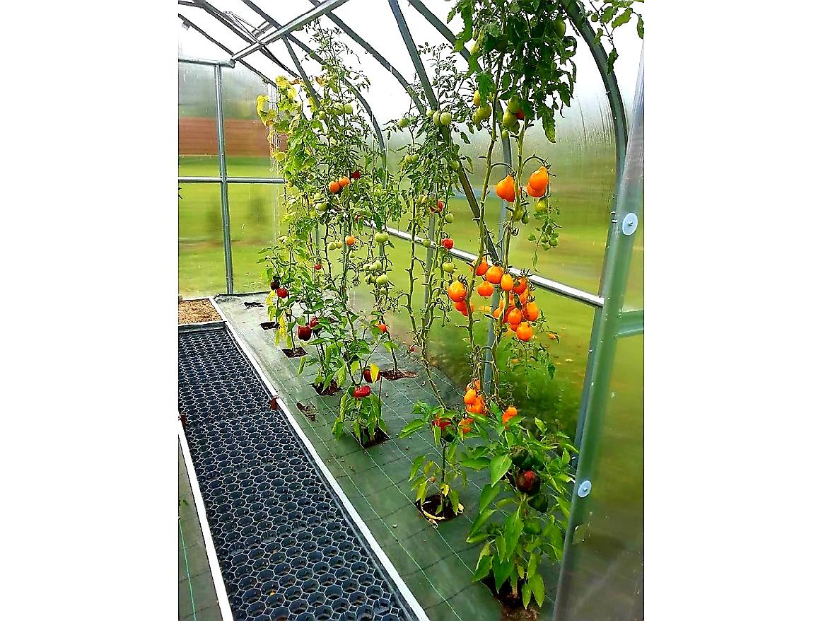Čelní ventilační okno Gardentec Standard - 67 x 80 cm - PC 4 mm