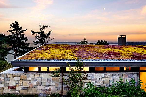 NOPOVÁ FÓLIE MAXISTUD T20 GARDEN - 2,0 x 20 m - 40 m2