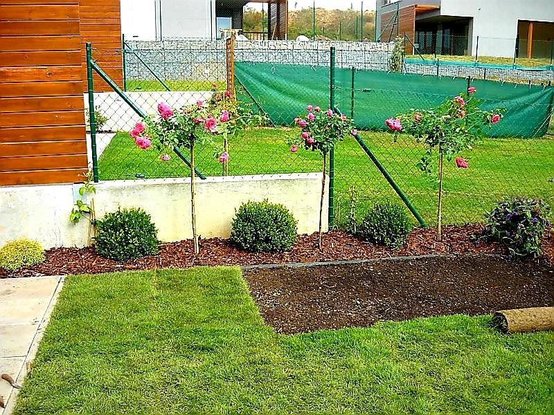 ZAHRADNÍ OBRUBNÍK COVERGARDEN ZELENÁ - 8,0 x 100 cm