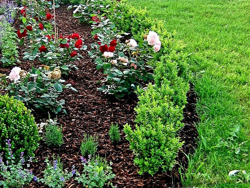 ZAHRADNÍ OBRUBNÍK COVERGARDEN ZELENÁ - 8,0 x 100 cm