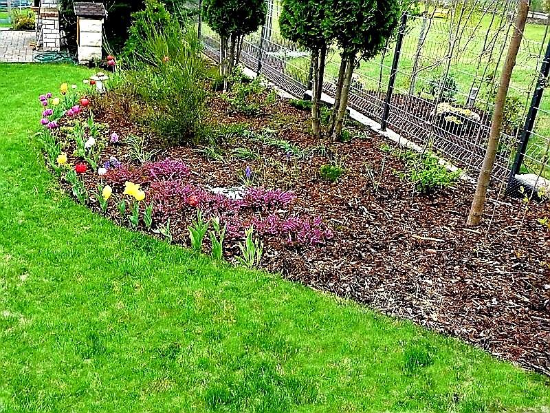 ZAHRADNÍ OBRUBNÍK COVERGARDEN ZELENÁ - 8,0 x 100 cm