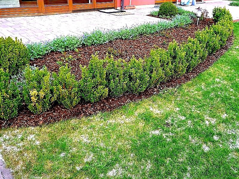 ZAHRADNÍ OBRUBNÍK COVERGARDEN ZELENÁ - 8,0 x 100 cm