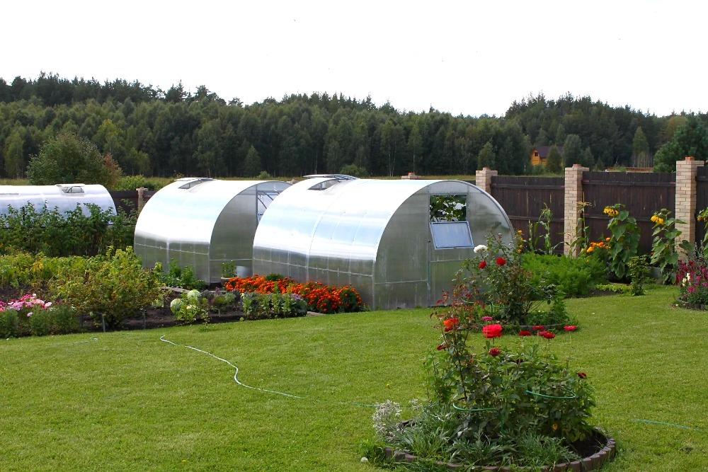 ZAHRADNÍ SKLENÍK AGRUS - 6,0 x 3,0 m - PC 6 mm