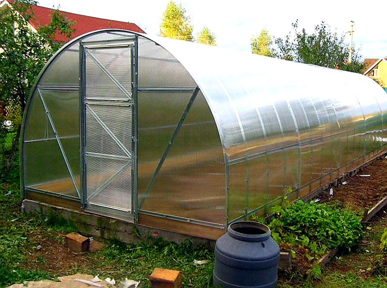 ZAHRADNÍ SKLENÍK ECONOM VOLYA LLC - 8,0 x 3,0 m - PC 4 mm