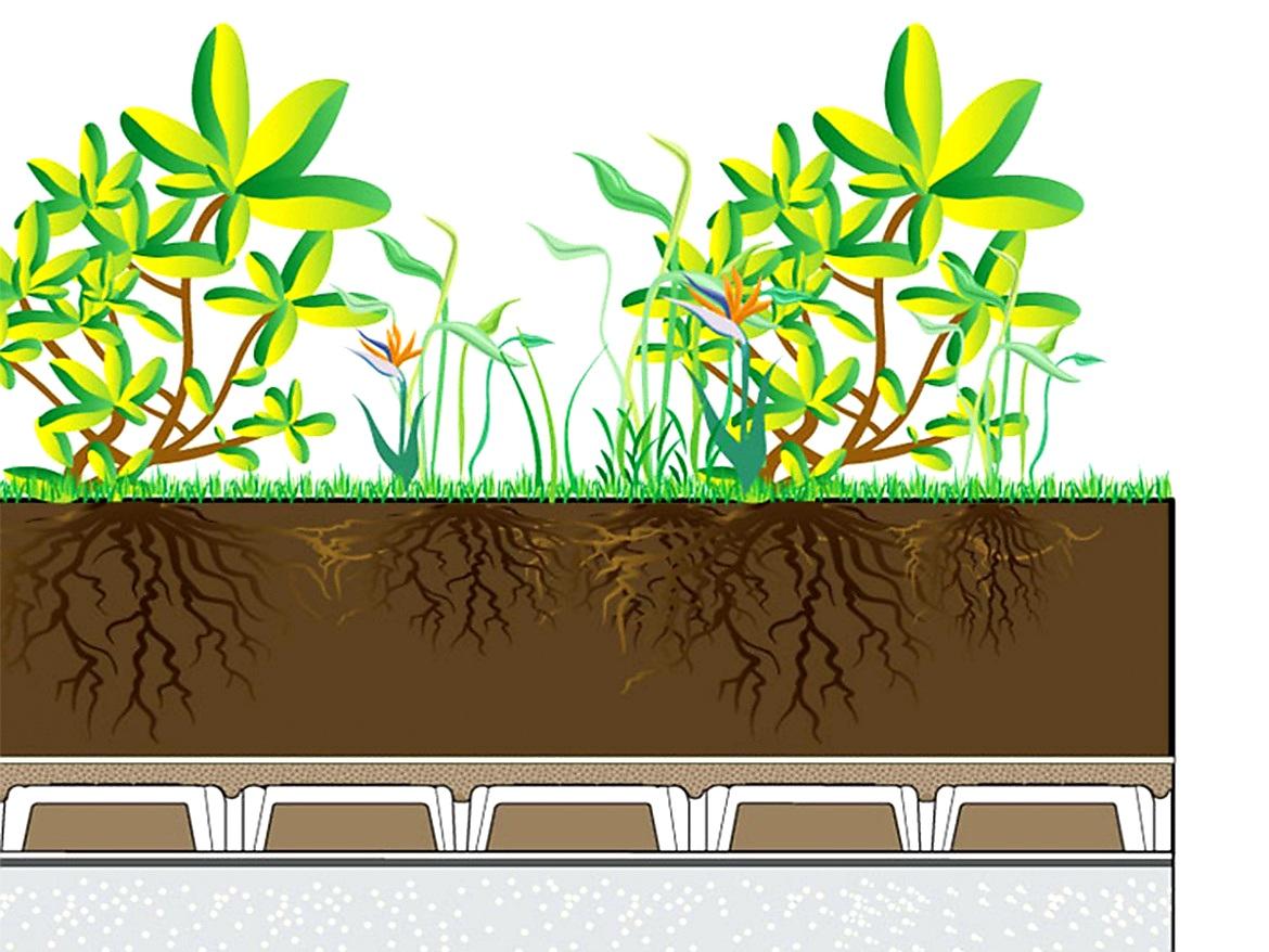 ZTRACENÉ BEDNĚNÍ IGLÚ DALIFORM H 20 - 50 x 50 cm