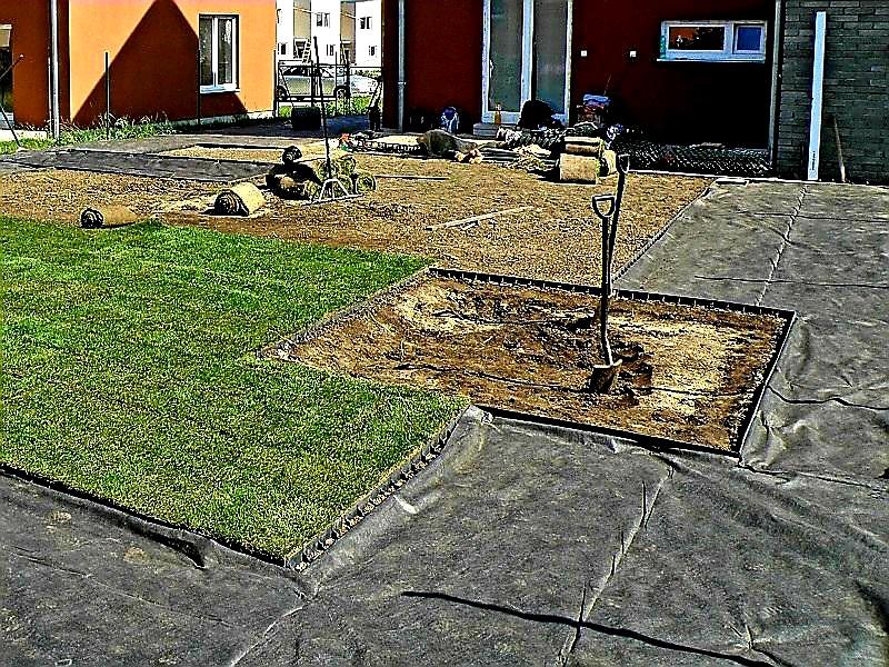 ZAHRADNÍ OBRUBNÍK COVERGARDEN ZELENÁ - 8,0 x 100 cm