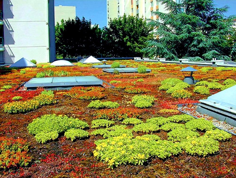 NOPOVÁ PERFOROVANÁ FÓLIE NOPPEX DUO PER - 2,0 x 20 m - 40 m2