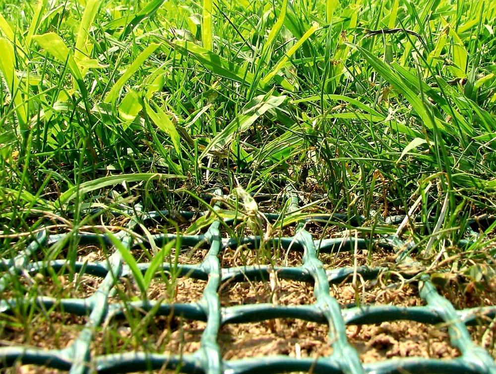 ZATRAVŇOVACÍ ROHOŽ TR TENAX - 2,0 x 10 m - 20 m2