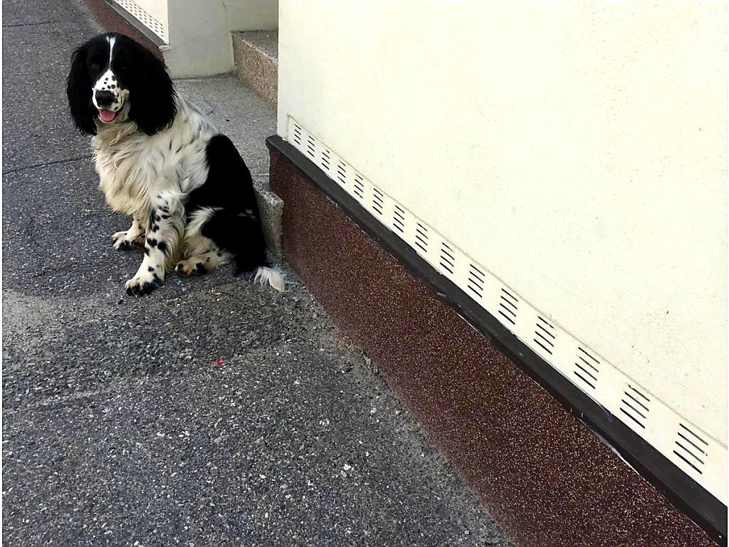 DIFÚZNÍ LIŠTA PRO VLHKÉ ZDIVO VNĚJŠÍ - 200 x 7 x 1,4 cm