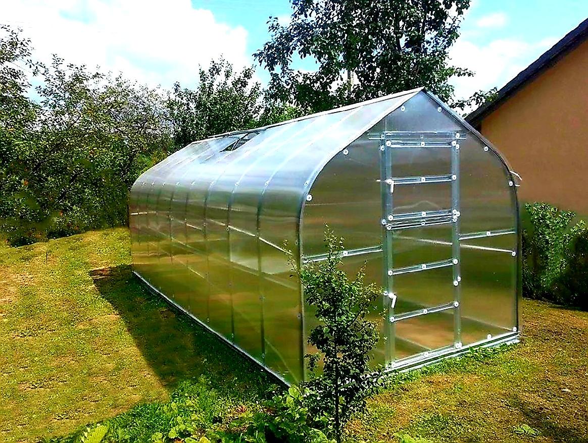 Zadní dveře pro skleník Gardentec Standard - 196 x 80 cm - PC 6 mm