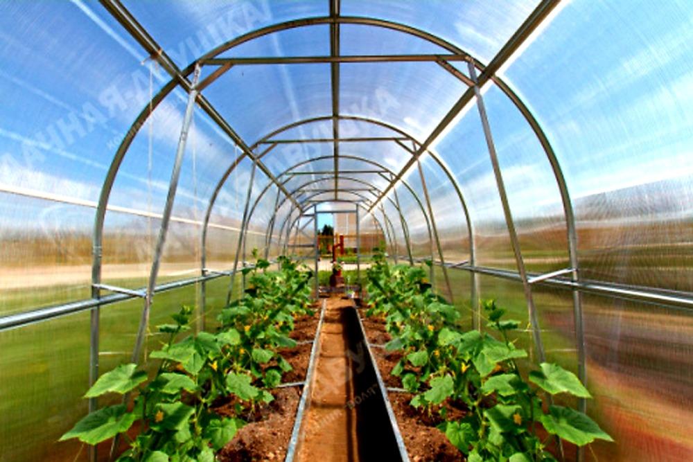 ZAHRADNÍ SKLENÍK DVUSHKA VOLYA LLC - 2,0 x 2,0 m - PC 4 mm