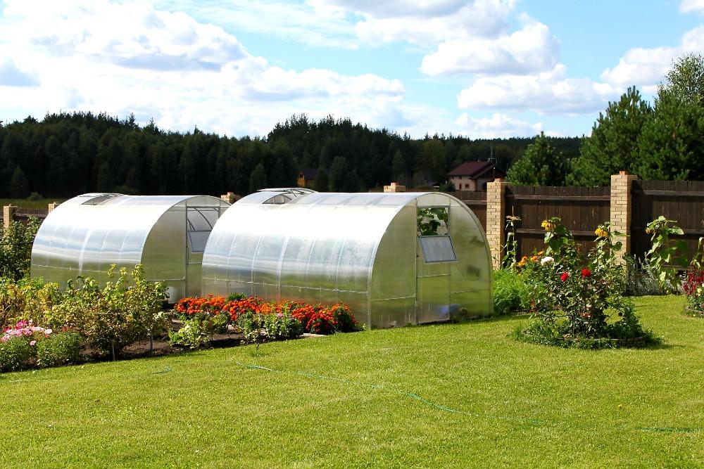 ZAHRADNÍ SKLENÍK AGRUS - 6,0 x 3,0 m - PC 6 mm