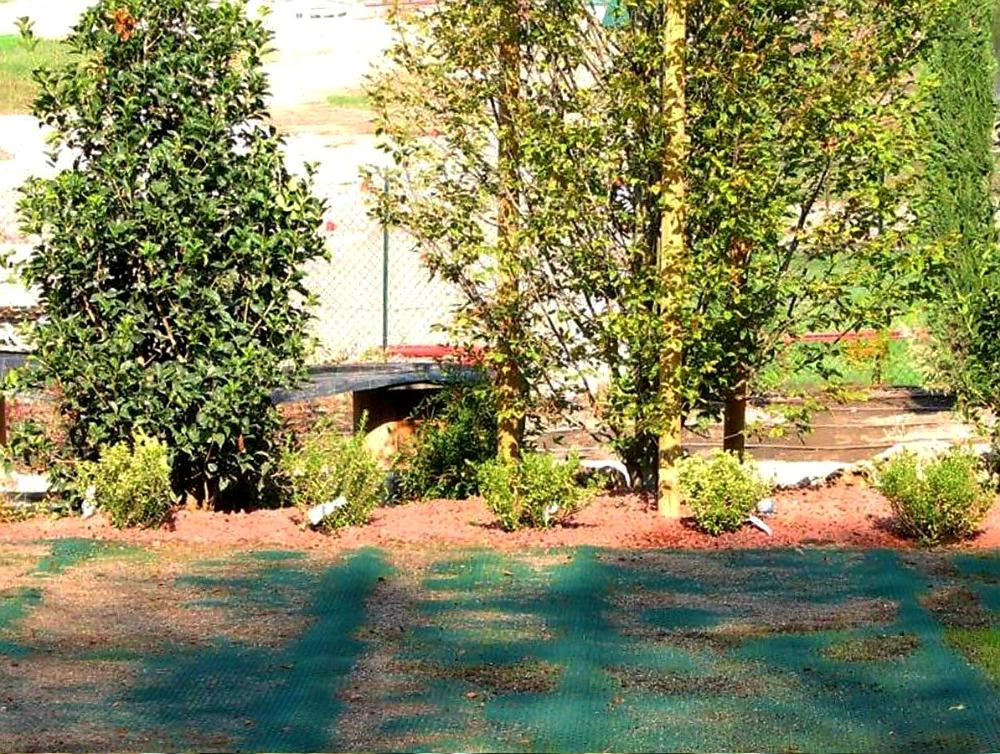 ZATRAVŇOVACÍ ROHOŽ TR TENAX - 2,0 x 30 m - 60 m2
