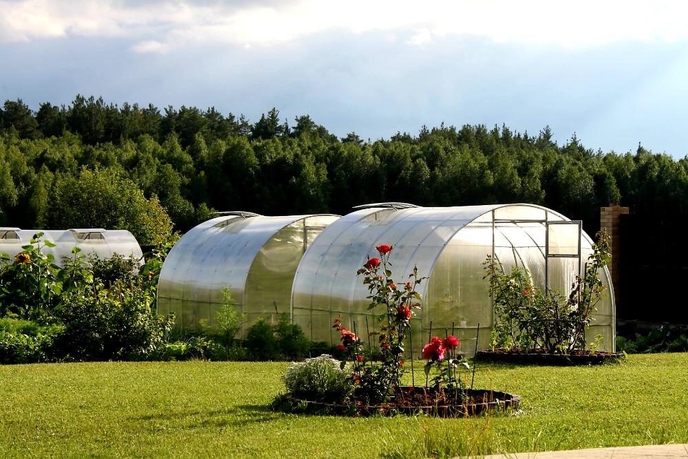 ZAHRADNÍ SKLENÍK AGRUS - 2,0 x 3,0 m - PC 6 mm