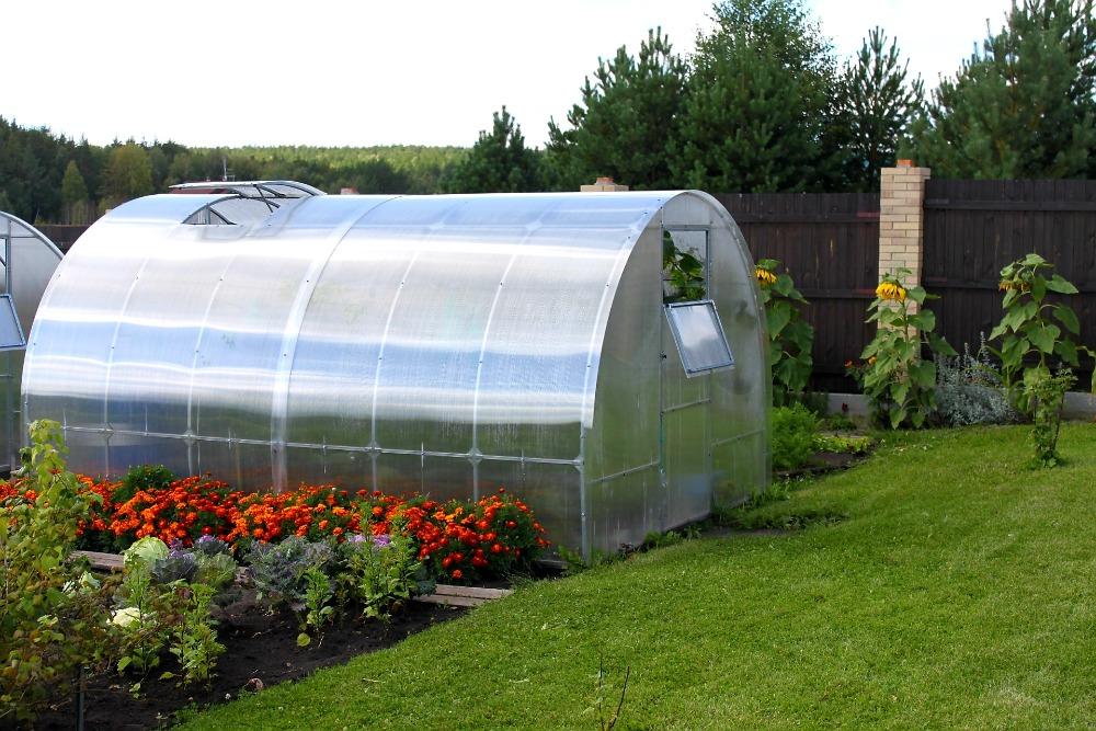 ZAHRADNÍ SKLENÍK AGRUS - 6,0 x 3,0 m - PC 6 mm