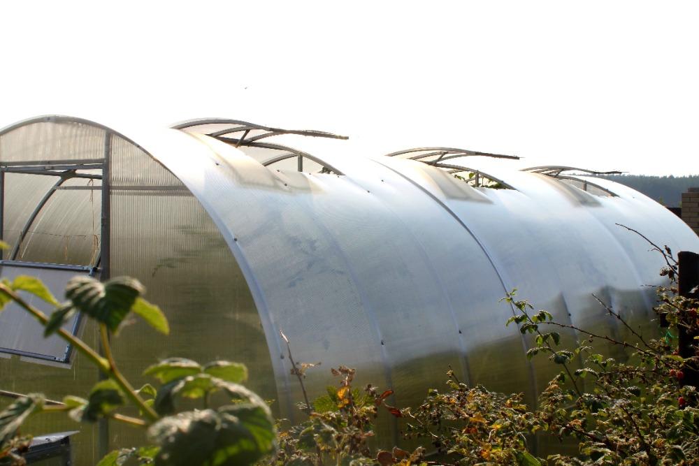 ZAHRADNÍ SKLENÍK AGRUS - 6,0 x 3,0 m - PC 6 mm