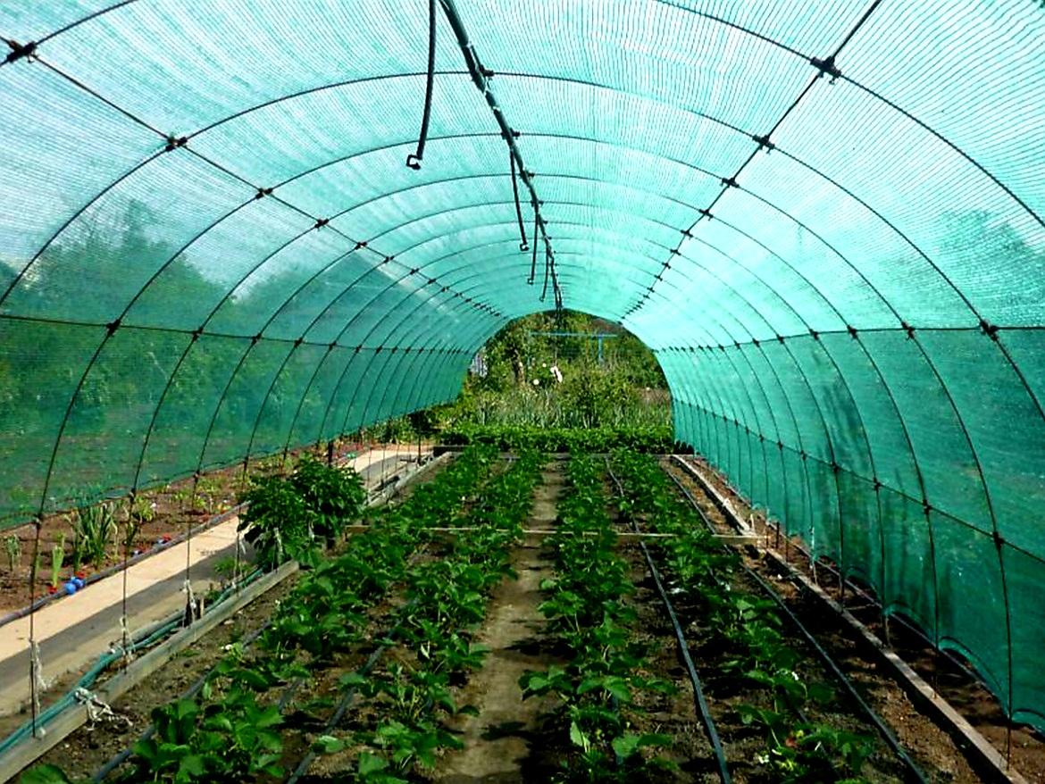 STÍNÍCÍ TKANINA BRADAS 55 % - 1,0 x 25 m - 25 m2