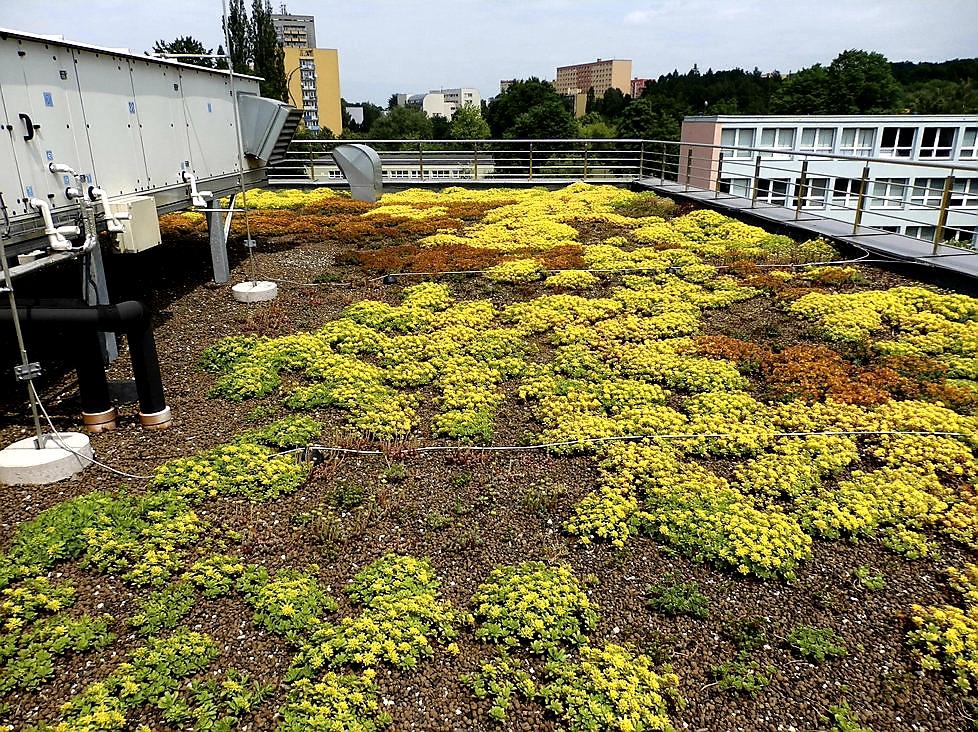 NOPOVÁ DESKA MAXISTUD GARDEN T40 - 2,0 x 1,5 m - 3 m2